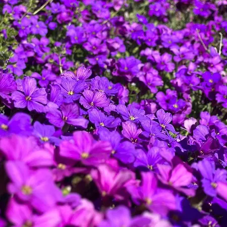 Au Grand Bonheur - Padirac - Rocamadour Ferienhaus *